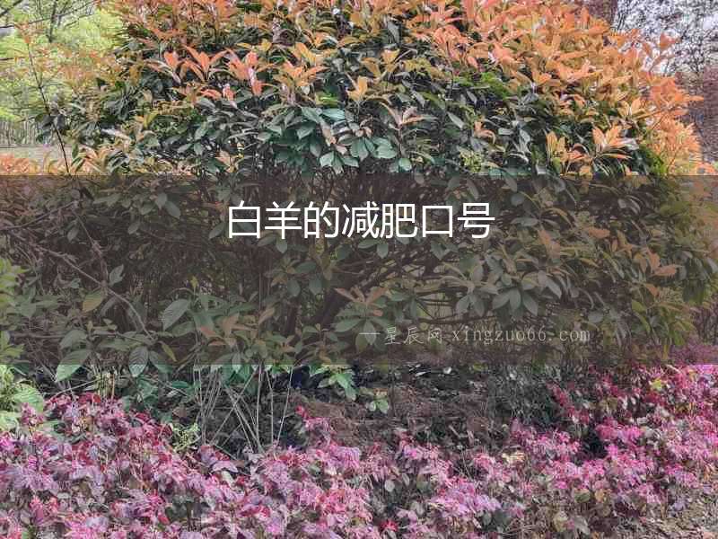 白羊的減肥口號