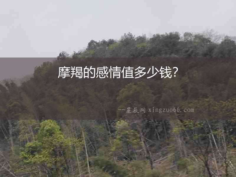 摩羯的感情值多少錢？