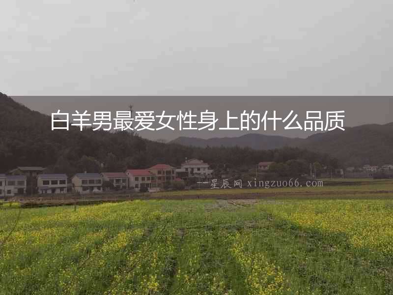 白羊男最愛女性身上的什么品質