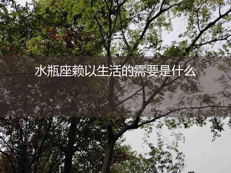 水瓶座賴以生活的需要是什么