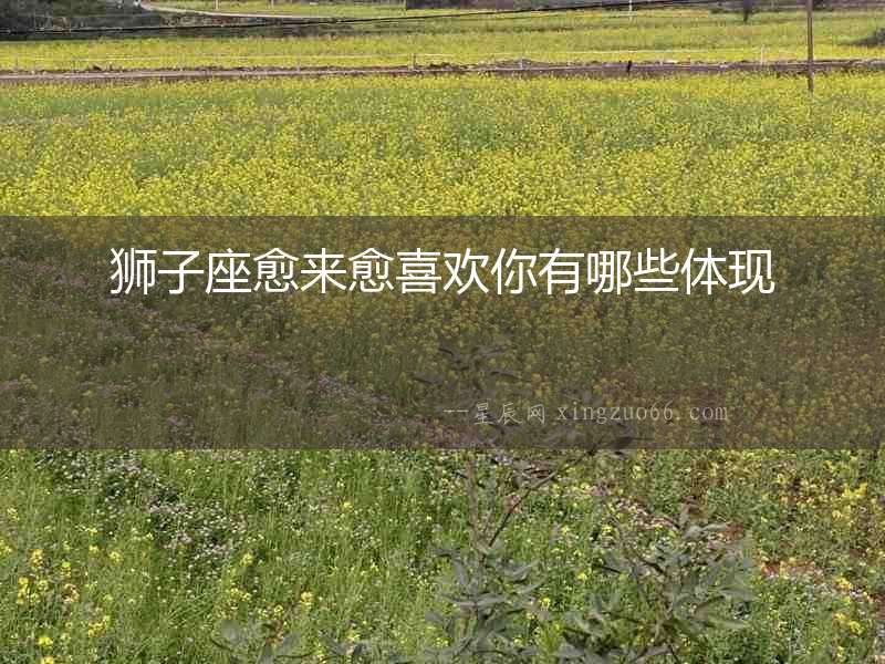 獅子座愈來愈喜歡你有哪些體現(xiàn)