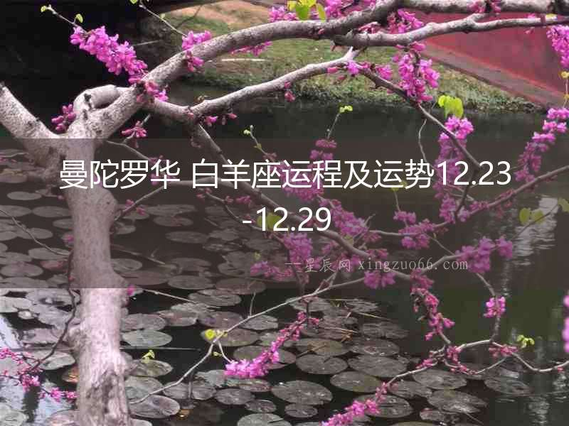 曼陀羅華 白羊座運程及運勢12.23-12.29