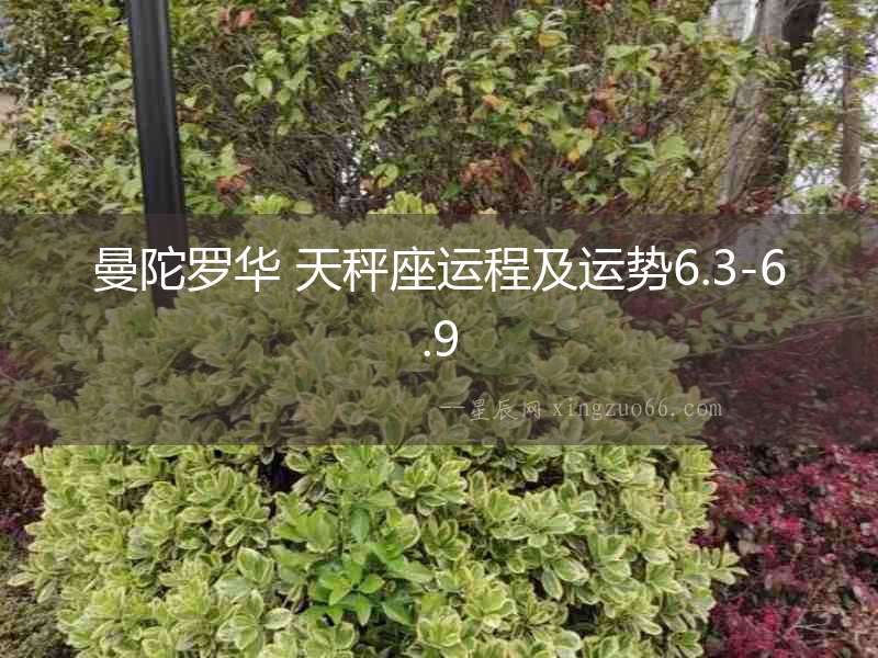 曼陀羅華 天秤座運程及運勢6.3-6.9