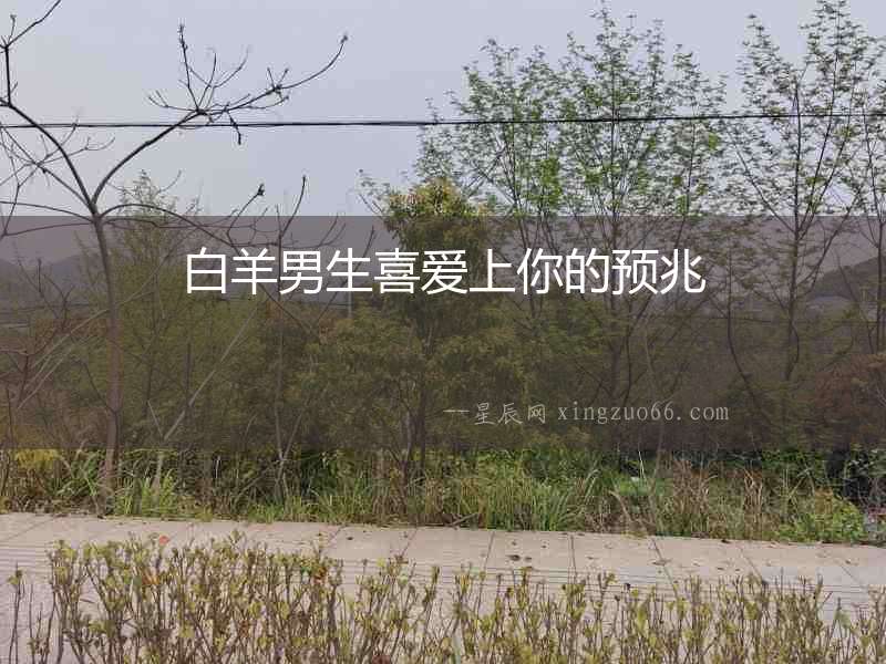 白羊男生喜愛上你的預兆