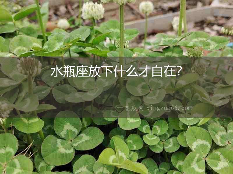 水瓶座放下什么才自在？