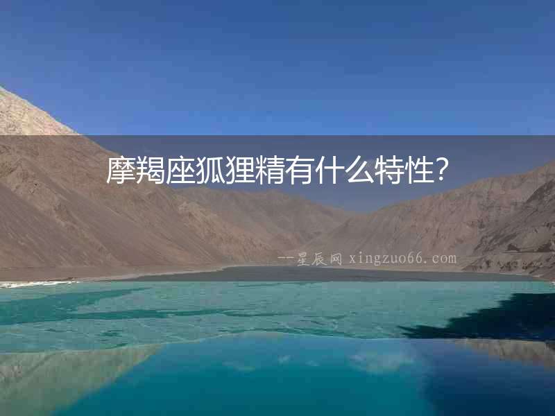 摩羯座狐貍精有什么特性？