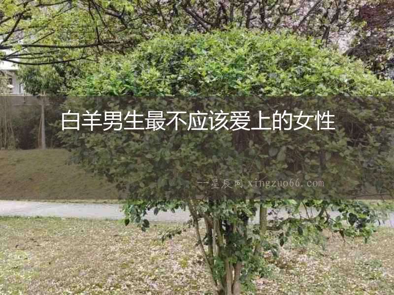 白羊男生最不應該愛上的女性