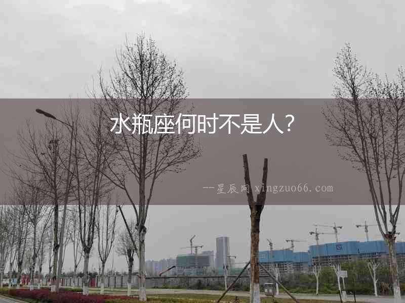 水瓶座何時(shí)不是人？