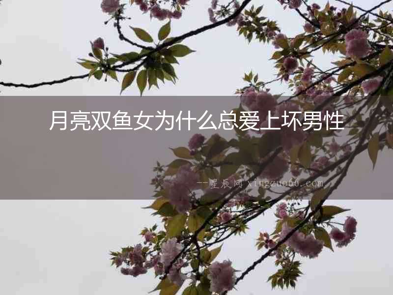月亮雙魚女為什么總愛上壞男性