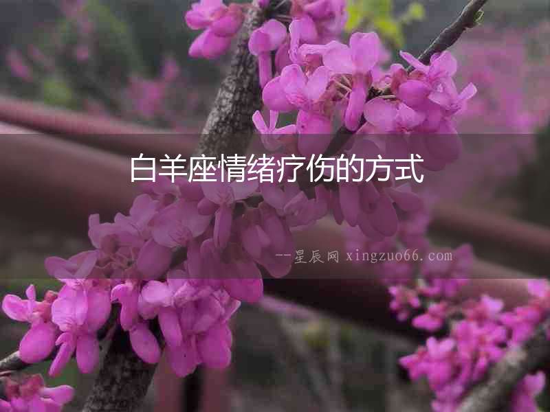 白羊座情緒療傷的方式