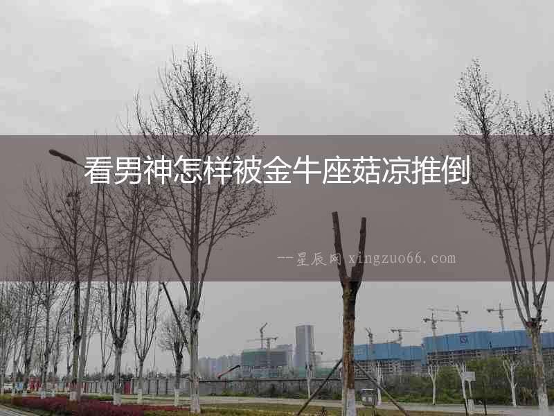 看男神怎樣被金牛座菇涼推倒