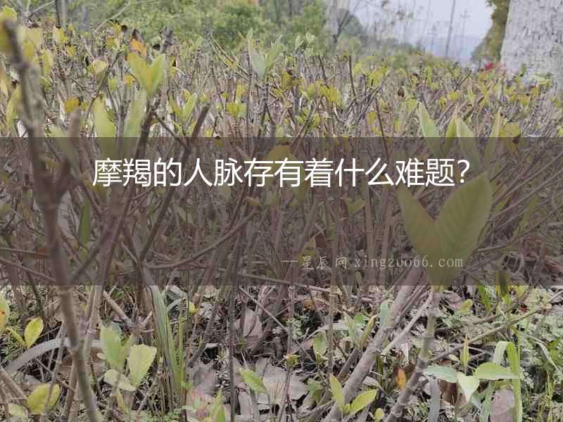 摩羯的人脈存有著什么難題？