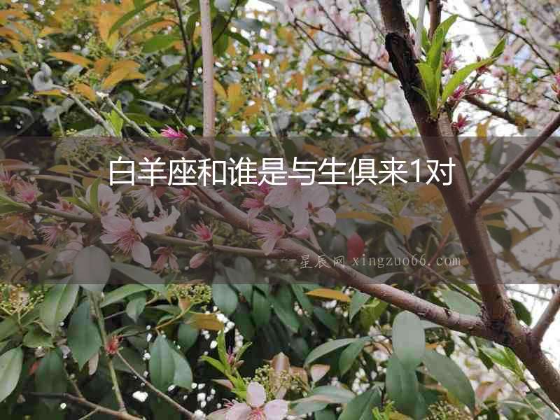 白羊座和誰是與生俱來1對