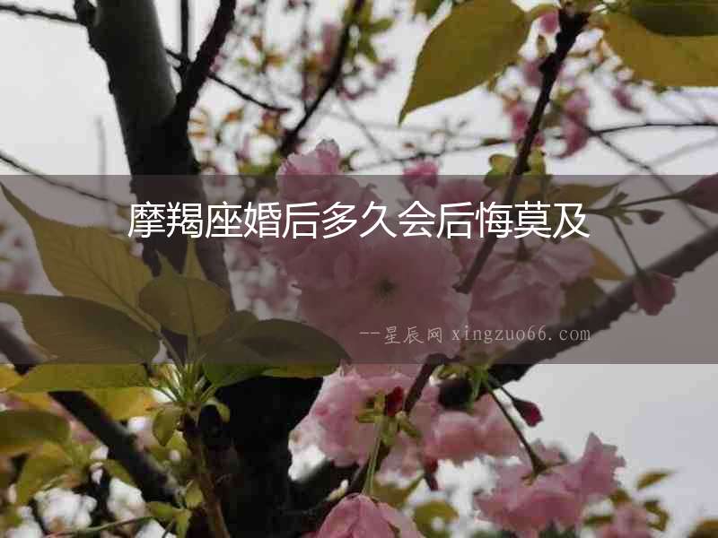 摩羯座婚后多久會后悔莫及