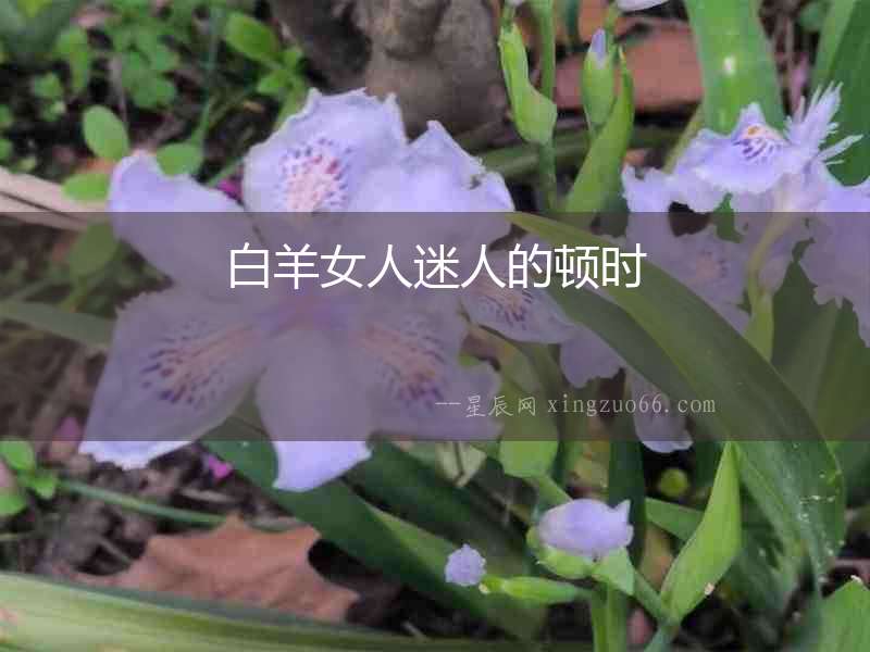 白羊女人迷人的頓時