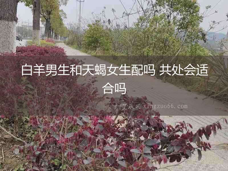白羊男生和天蝎女生配嗎 共處會適合嗎
