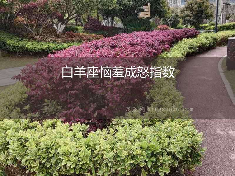 白羊座惱羞成怒指數