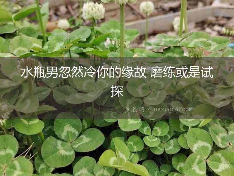 水瓶男忽然冷你的緣故 磨練或是試探