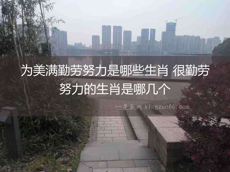 為美滿勤勞努力是哪些生肖 很勤勞努力的生肖是哪幾個