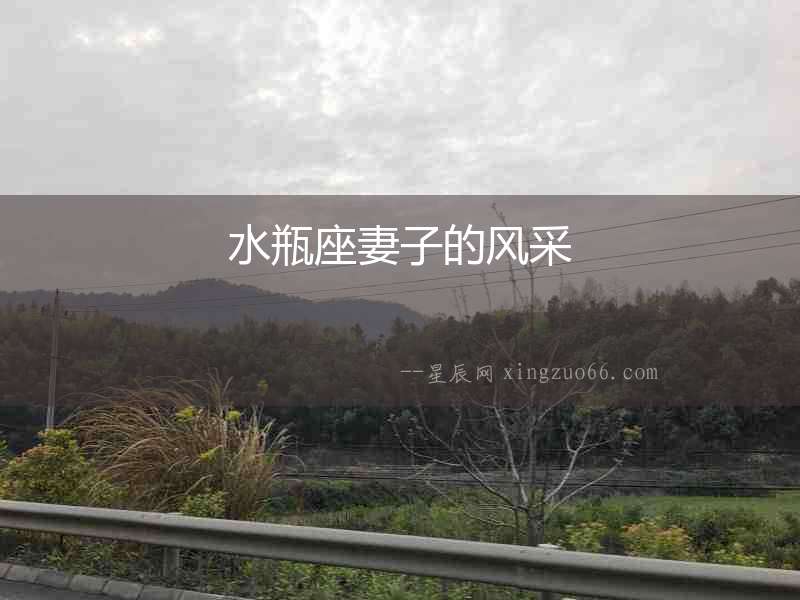 水瓶座妻子的風采