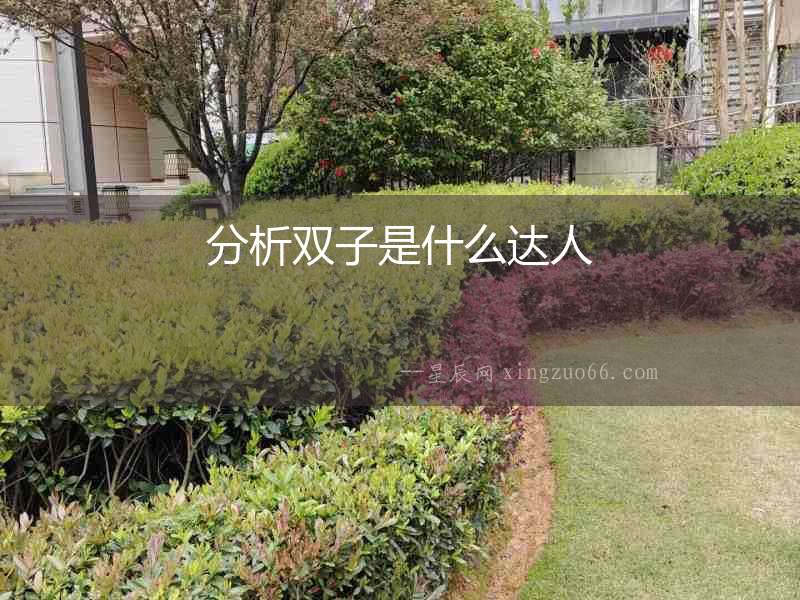 分析雙子是什么達人