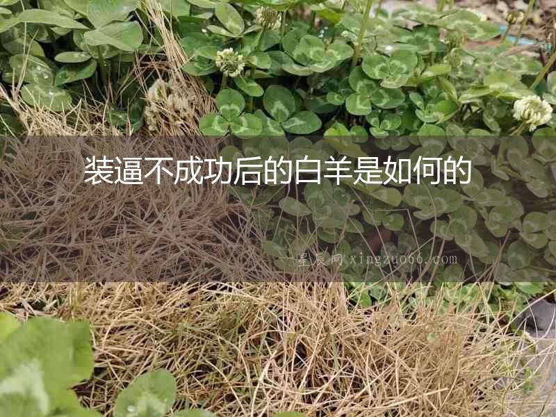 裝逼不成功后的白羊是如何的