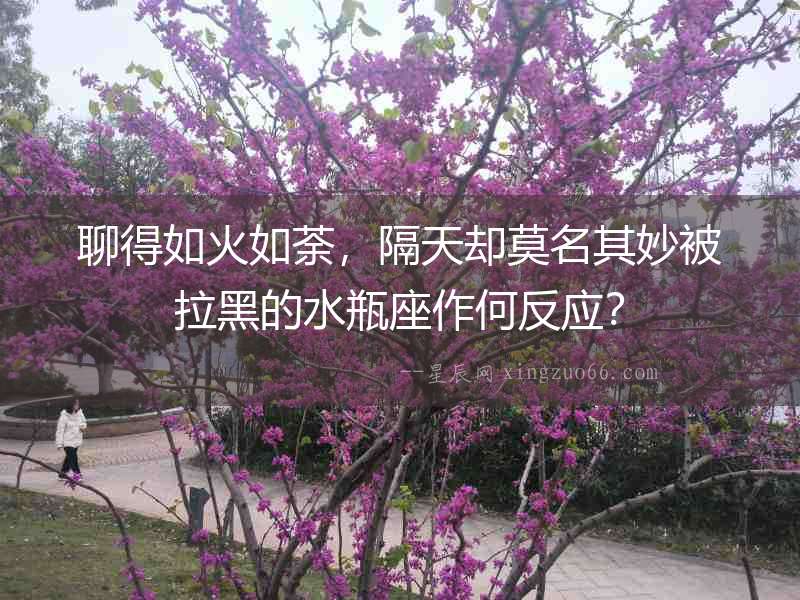 聊得如火如荼，隔天卻莫名其妙被拉黑的水瓶座作何反應？