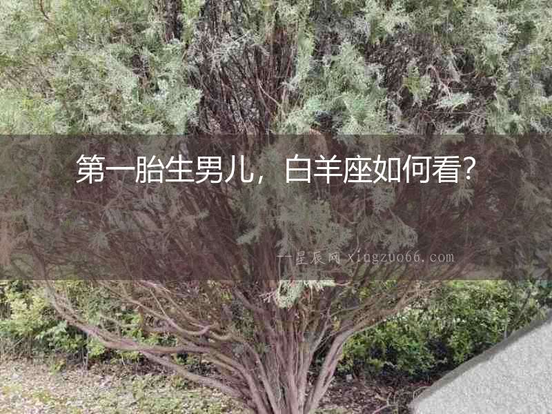 第一胎生男兒，白羊座如何看？