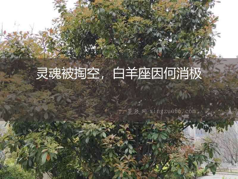 靈魂被掏空，白羊座因何消極