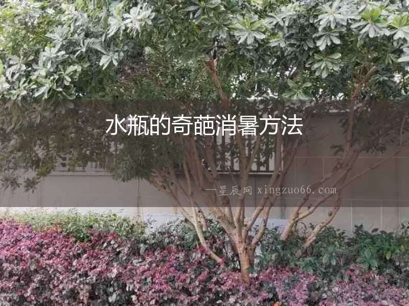 水瓶的奇葩消暑方法