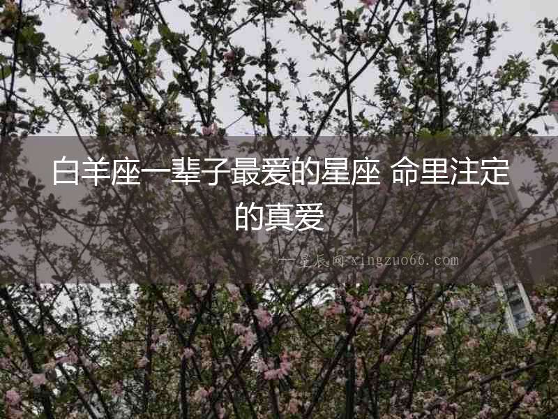 白羊座一輩子最愛的星座 命里注定的真愛