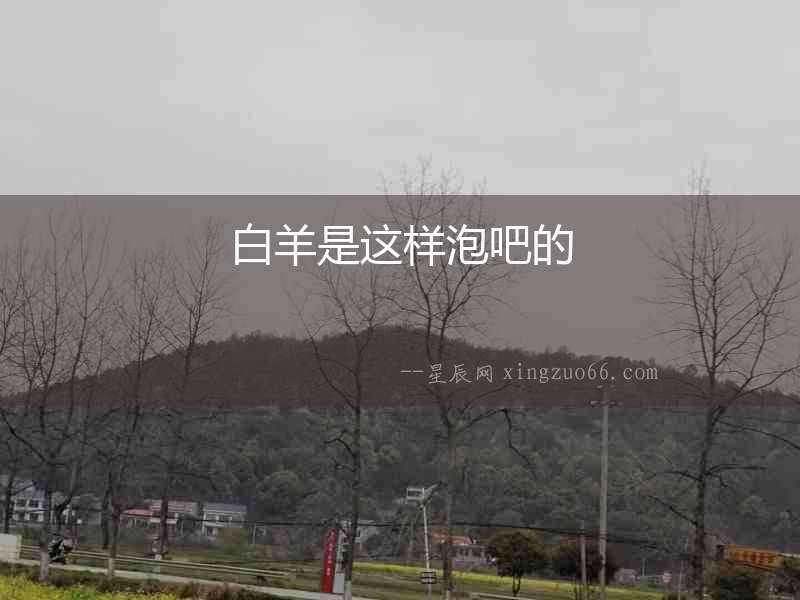 白羊是這樣泡吧的