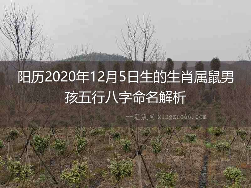陽歷2020年12月5日生的生肖屬鼠男孩五行八字命名解析