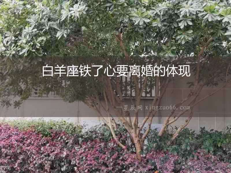 白羊座鐵了心要離婚的體現