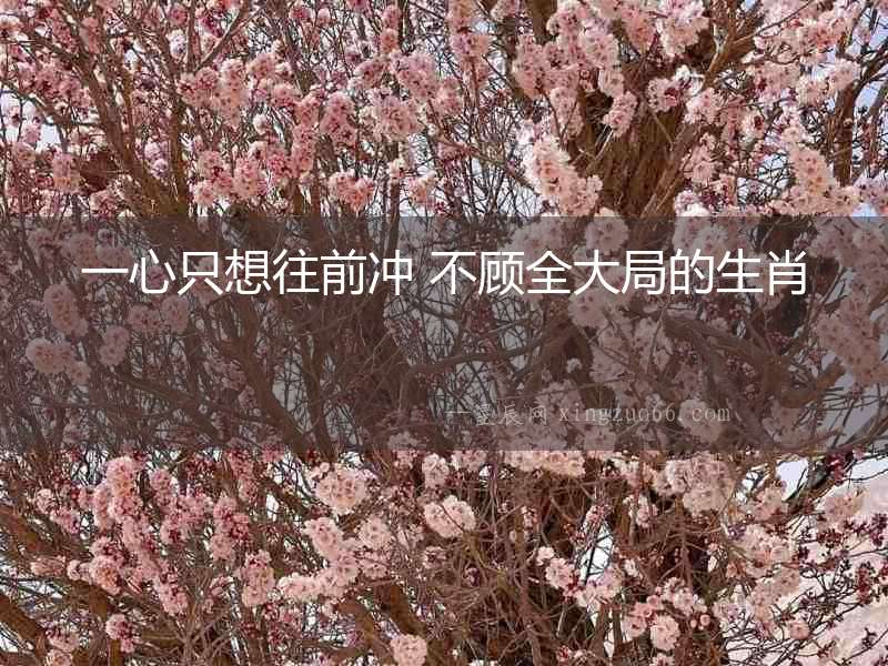一心只想往前沖 不顧全大局的生肖