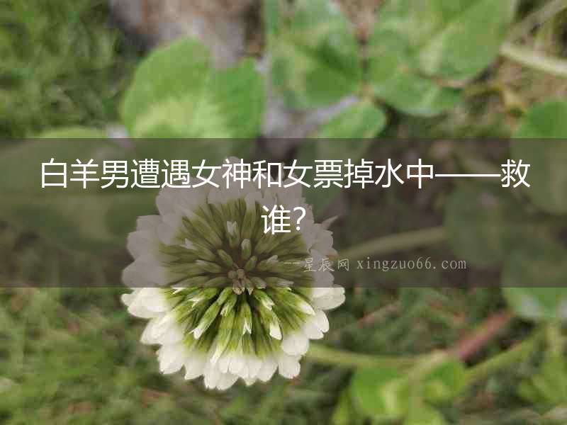 白羊男遭遇女神和女票掉水中——救誰？