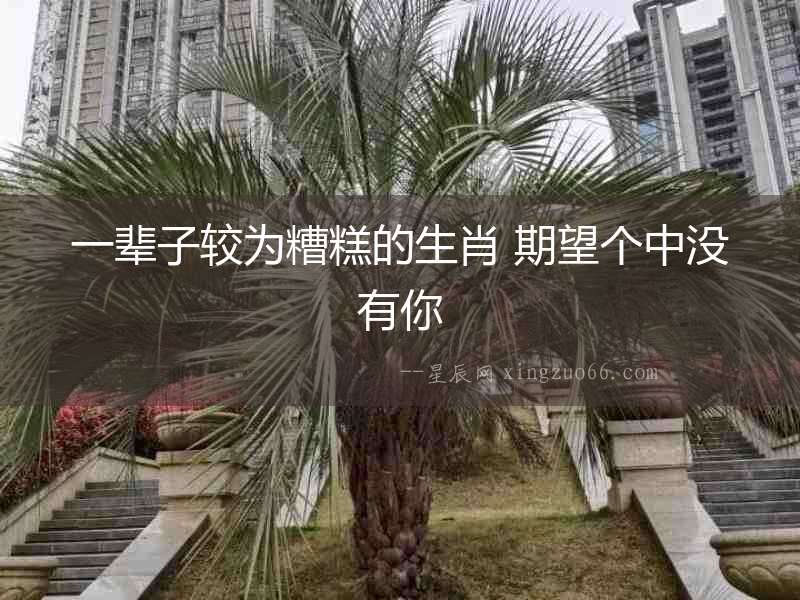 一輩子較為糟糕的生肖 期望個中沒有你