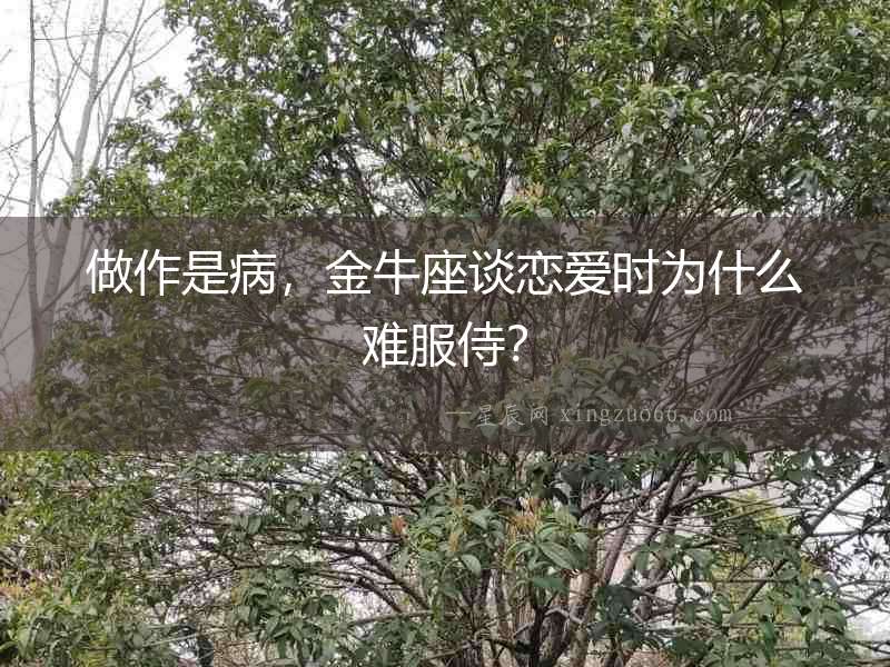 做作是病，金牛座談戀愛時為什么難服侍？