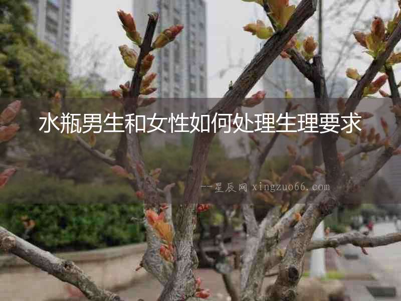 水瓶男生和女性如何處理生理要求