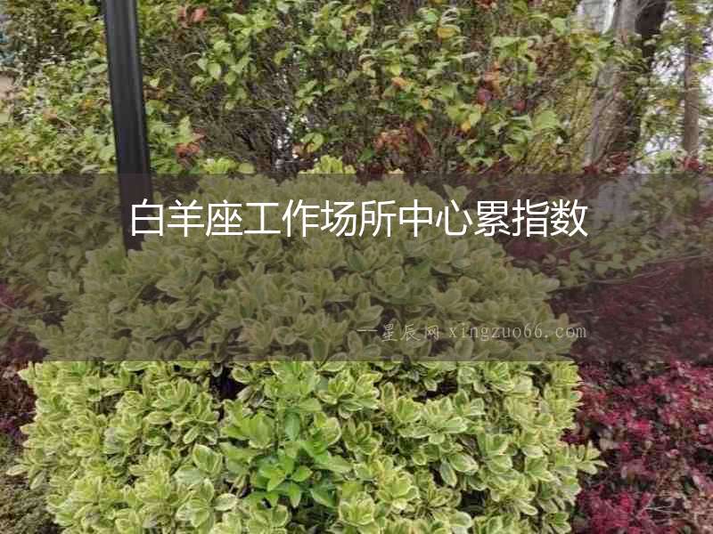 白羊座工作場(chǎng)所中心累指數(shù)