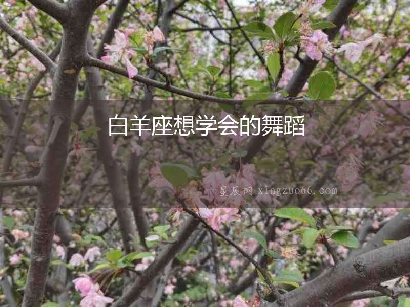 白羊座想學會的舞蹈