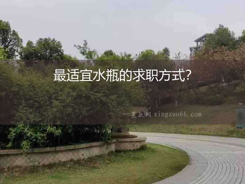 最適宜水瓶的求職方式？