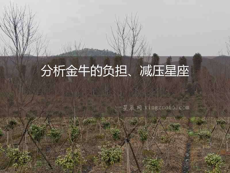 分析金牛的負(fù)擔(dān)、減壓星座