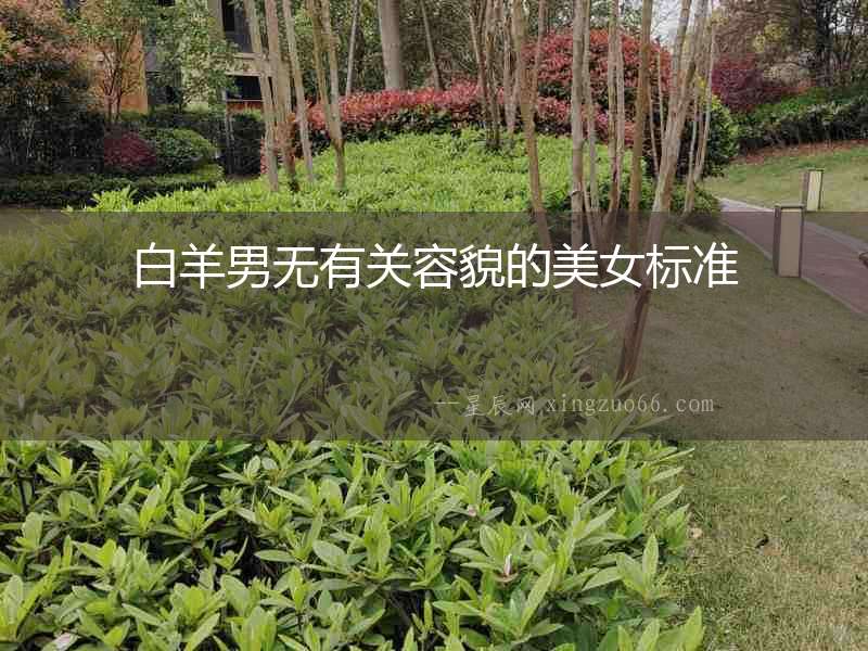 白羊男無有關容貌的美女標準