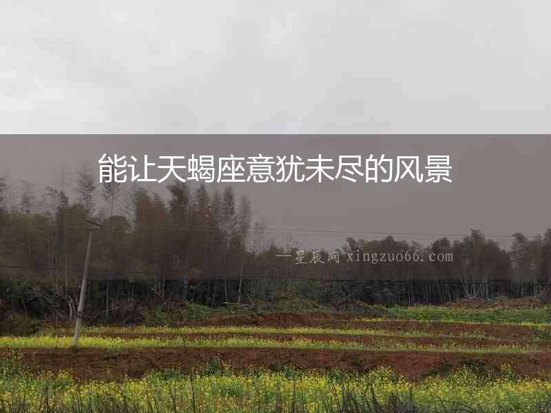 能讓天蝎座意猶未盡的風景