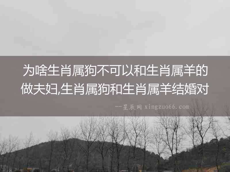為啥生肖屬狗不可以和生肖屬羊的做夫婦,生肖屬狗和生肖屬羊結婚對誰不利
