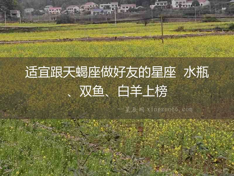 適宜跟天蝎座做好友的星座  水瓶、雙魚、白羊上榜