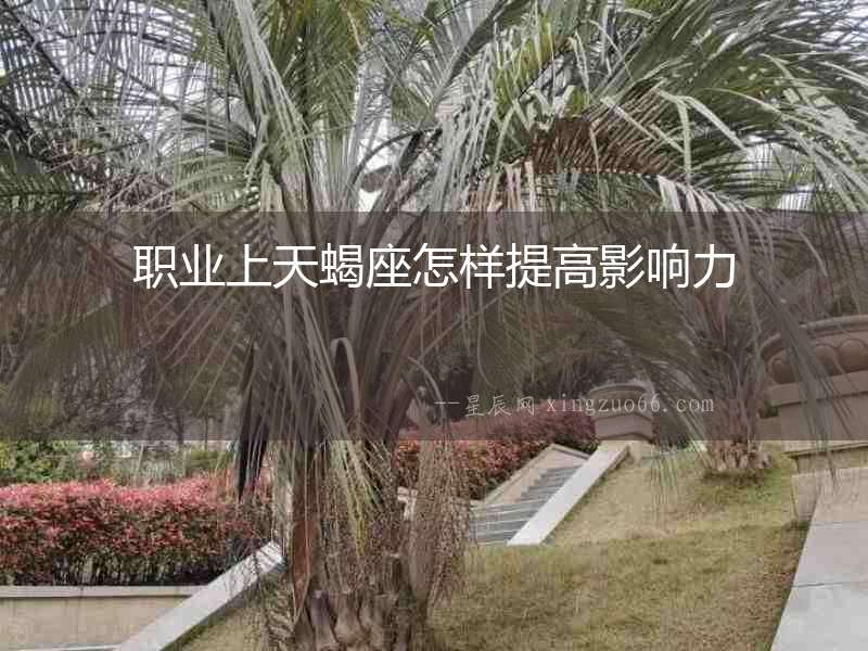 職業上天蝎座怎樣提高影響力