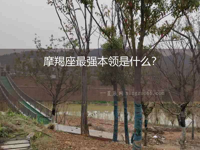 摩羯座最強(qiáng)本領(lǐng)是什么？