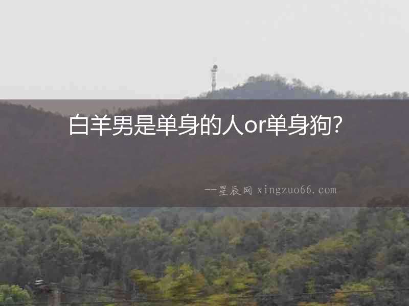 白羊男是單身的人or單身狗？